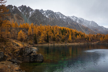 Mountain lake surrounded by golden autumn trees under snow-capped mountains in overcast weather. Scenic and tranquil natural landscape perfect for exploring rugged wilderness.