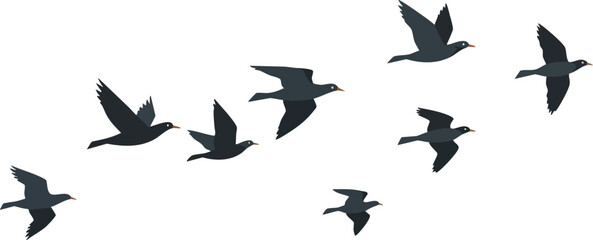 Fototapeta premium Flying birds silhouette in formation vector illustration in black color simple design 