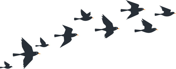 Fototapeta premium Flying birds silhouette in formation vector illustration with black color on white background 