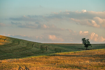 Fototapeta premium summer countryside landscape in Val d'Agri, Basilicata, Italy