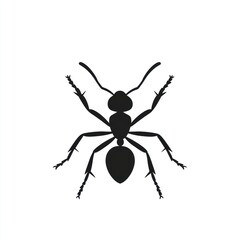 Fototapeta premium Silhouette of an ant (3)