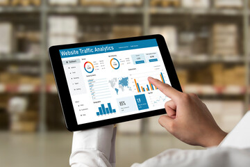 Computer software for website traffic analytics data on computer screen. Concept of SEO search engine optimization and customer targeting for online business snugly