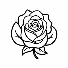 rose-flower-out-line-vector-icon-on-white-backgrou (4).eps