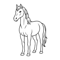horse vector realistic line icon on white background
Vector line icon animal, wildlife