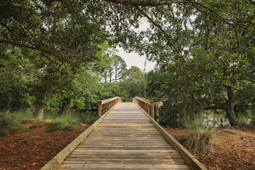 Boardwalk on Hilton head Island