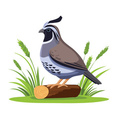 Spotted Quail Standing On Cut Log