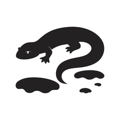 Vector Silhouette Of Salamander Resting On Wet Rock