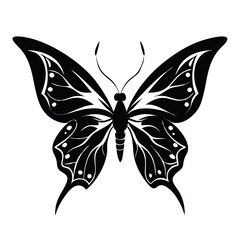 Obraz premium A striking black and white butterfly vector illustration showcasing its delicate silhouette and wings, perfect for design or tattoo art