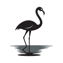 Elegant Flamingo Standing Water