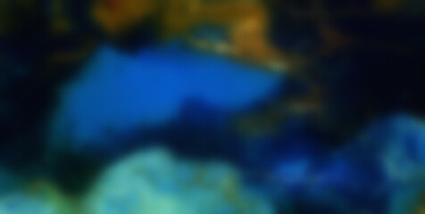 Painted Dreamscape Infused with an Array of Colors and Abstract Forms