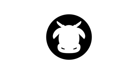 black and white cow