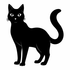 black cat vector illustration
