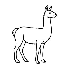 llama vector realistic line icon on white background
Vector line icon animal, wildlife