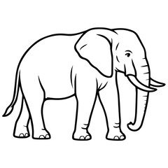 elephant  vector realistic line icon on white background
Vector line icon animal, wildlife