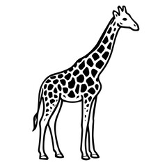 Naklejka premium giraffe vector realistic line icon on white background Vector line icon animal, wildlife