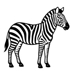  zebra  vector realistic line icon on white background
Vector line icon animal, wildlife