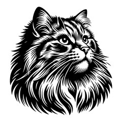 Obraz premium Majestic Siberian Cat Head Portrait Black and White Outline Line Art Drawing Capturing Detailed Fur and Expressive Eyes