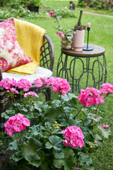 A charming garden nook featuring wicker chairs and tables surrounded by blooming annual flowers in soft pink hues. The scene evokes relaxation, outdoor comfort, and delicate floral beauty in a serene 
