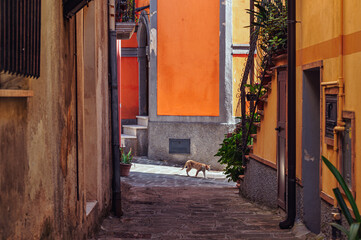 view of the village of Sarconi, Potenza province, Basilicata