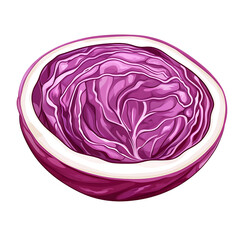 Obraz premium Slice red cabbage vegetable