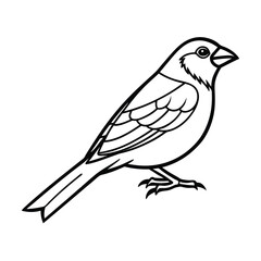 Obraz premium line art indigo bunting bird