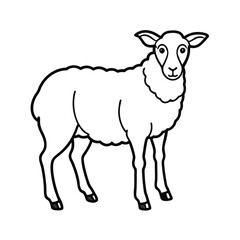 Fototapeta premium line art sheep