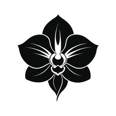 orchid flower black silhouette vector on white ba