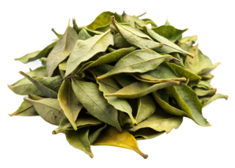Dried curry leaves generative ai