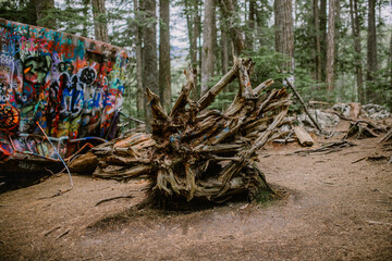 Train Car in the forest