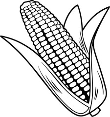 Monochrome illustration of freshly harvested corn on the cob with husks drawn artistically