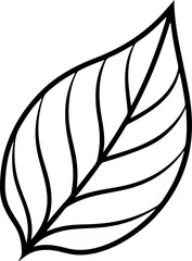 Isolated black and white leaf vector illustration showing veins and outline suitable for design elements