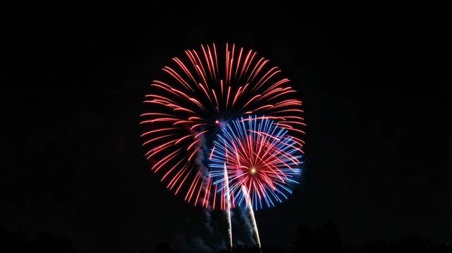 A single vibrant firework explodes against a black night sky, representing the spark and beauty of patriotic celebrations