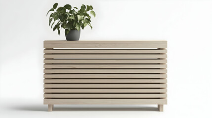 Light Beige Wooden Cabinet with Plant