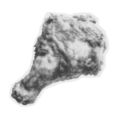 Halftone Fried Chicken Fast Food Collage Scrapbook Cut Out⁠
