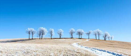 Frozen Trees Against A Clear Blue Sky