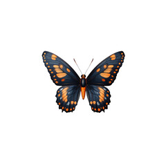 Dark butterfly with orange accents on black background