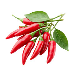 Piri Piri Chili Pepper Cluster