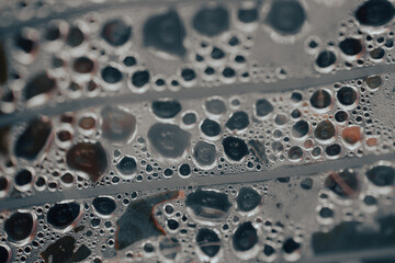 Water droplets gather on a surface covered in fine textures