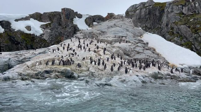 Big Iceberg in Antarctica Winter Scenery, Amazing Shape Ice Formation of Massive Large Enormous Blue Icebergs in Antarctic Peninsula Landscape Seascape with Ocean Sea Water