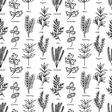 Cooking herbs and spices hand drawn vector seamless pattern