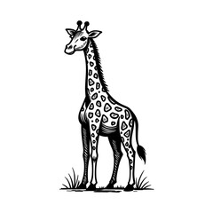 Obraz premium Cartoon giraffe with long neck and spotted body in black and white style for kids' safari themes and educational prints - friendly wild animal