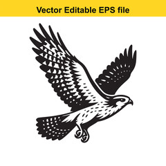 Majestic Hawk in Flight: A Black and White Vector Illustration