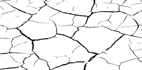 Generate a high-contrast, detailed image of a finely cracked white surface. The cracks should appear as thin, dark lines forming an intricate network across the white background, 