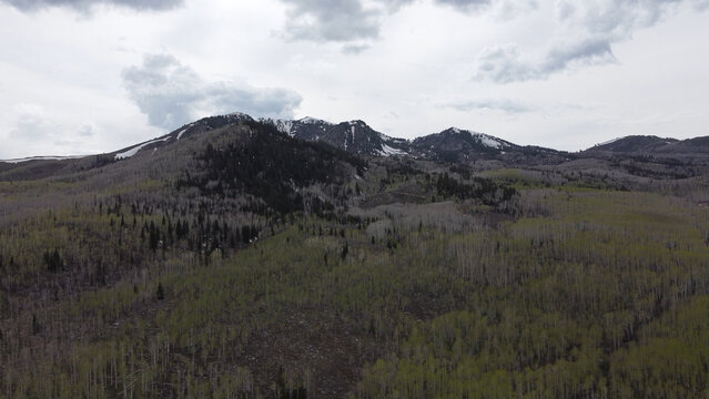 Aerial photographs of Guardsman Pass in the Wasatch Mountains of Utah, showcasing winding alpine roads, dense green forests, and high-elevation terrain under clear summer skies. Captured with a drone,