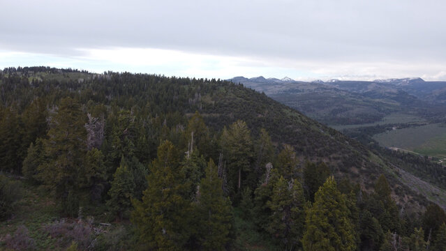 Aerial photographs of Guardsman Pass in the Wasatch Mountains of Utah, showcasing winding alpine roads, dense green forests, and high-elevation terrain under clear summer skies. Captured with a drone,