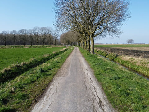 Scenic country pathway lined with trees on a clear sunny day near a lush green field - Powered by Adobe