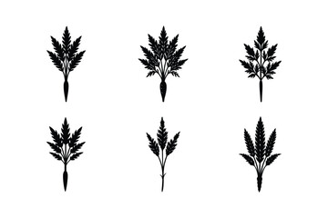 set of carrot plant silhouette vector illustration