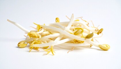 Bean Sprouts on Isolated White Background – Fresh Mung Bean Shoots with Crisp Texture and Studio Lighting