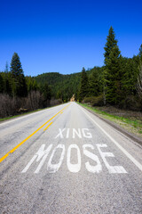 Road sign warning moose crossing in rural mountain landscape