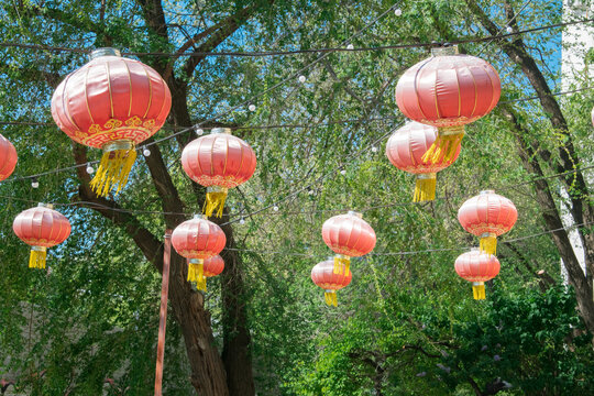 red chinese lanterns on a green tree background